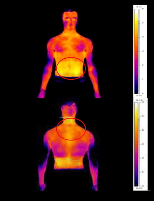 Fireactiv Thermal Images 30 mins